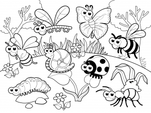 Insects bugs archives