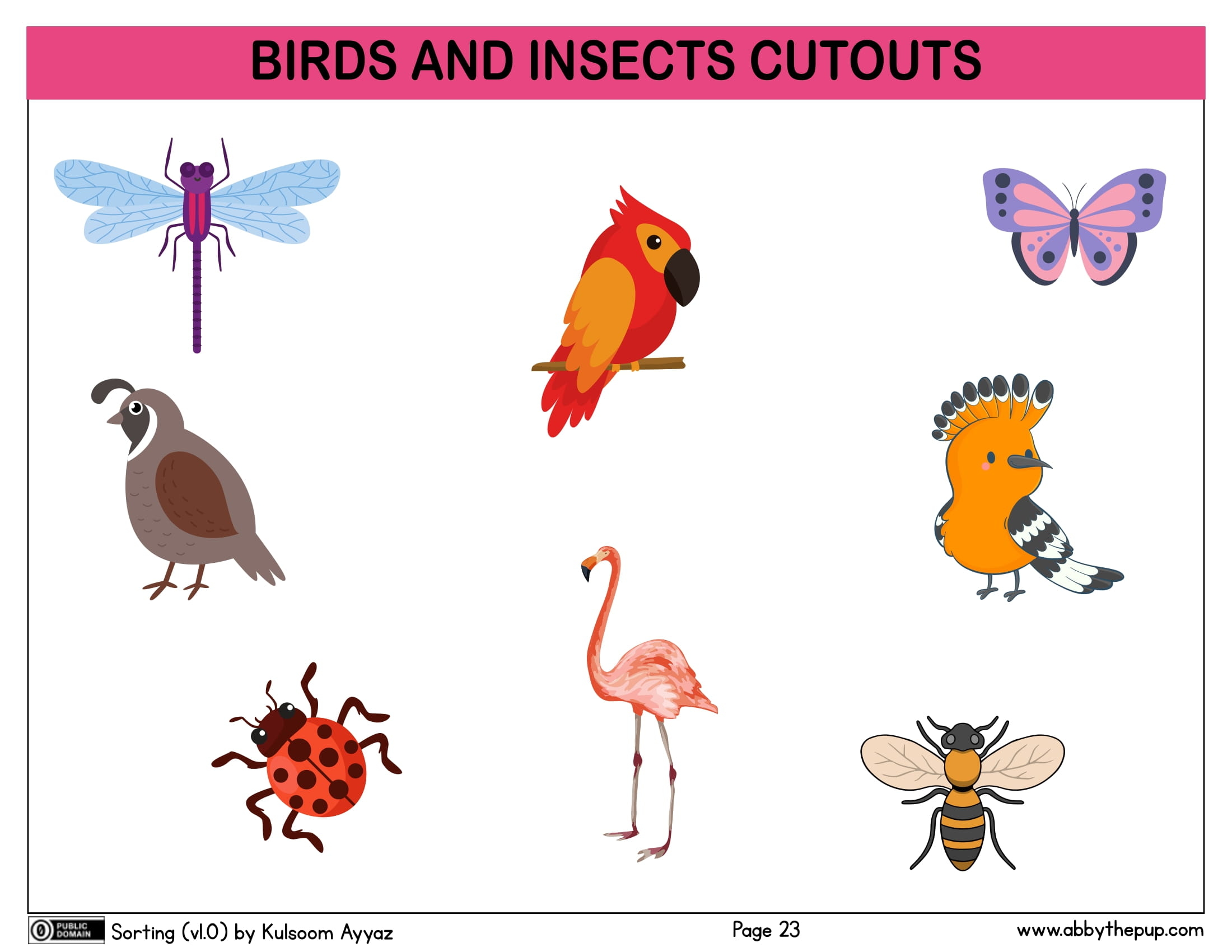 Sorting birds and insects activity free printable puzzle games