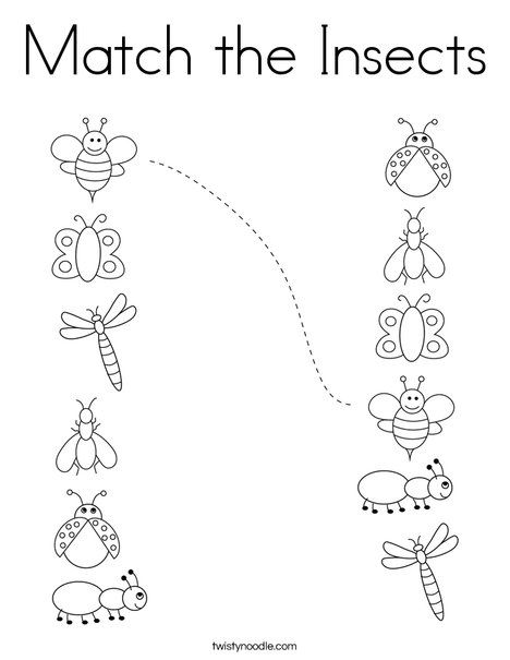 Match the insects coloring page