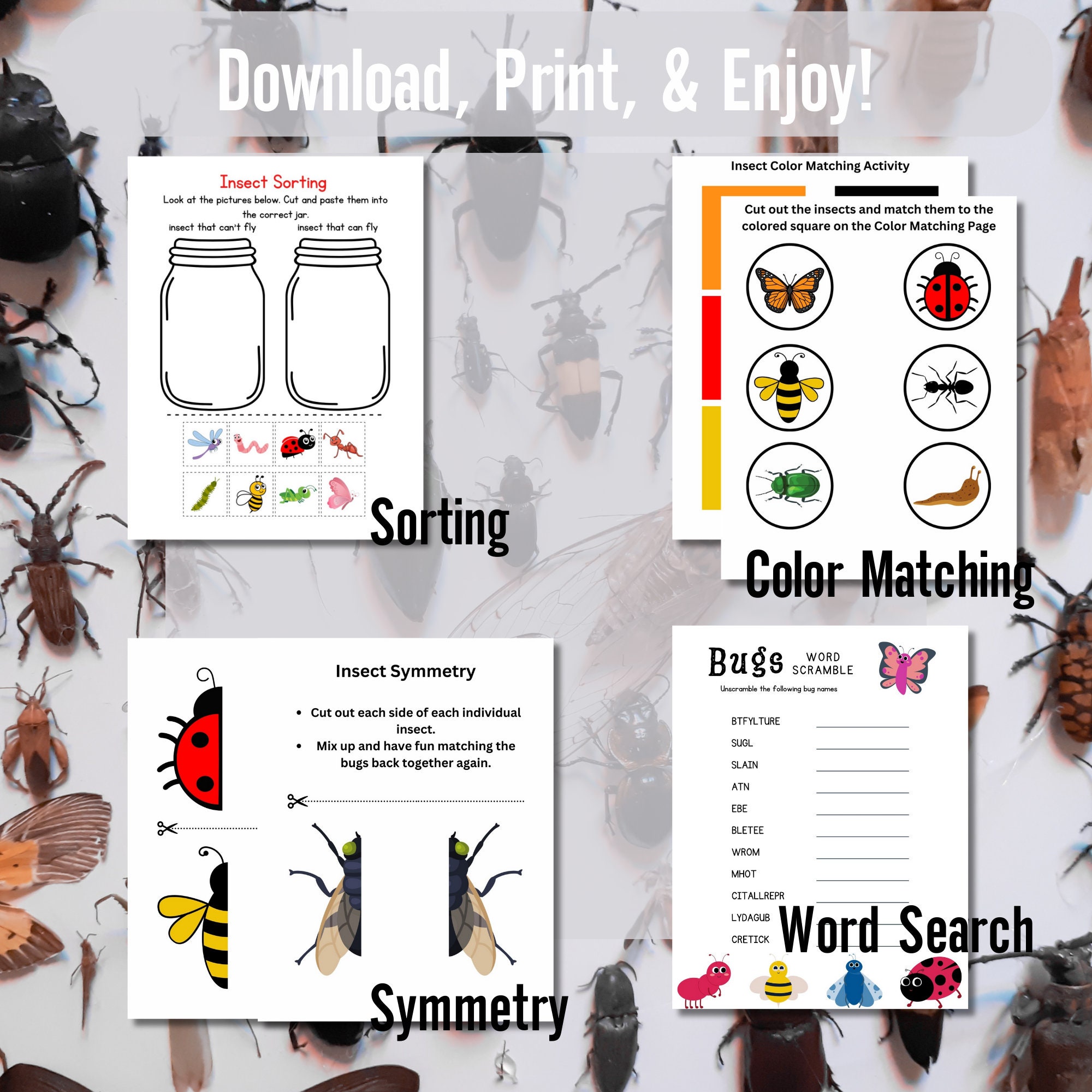 Insects match and sort bug activity printable size sorting
