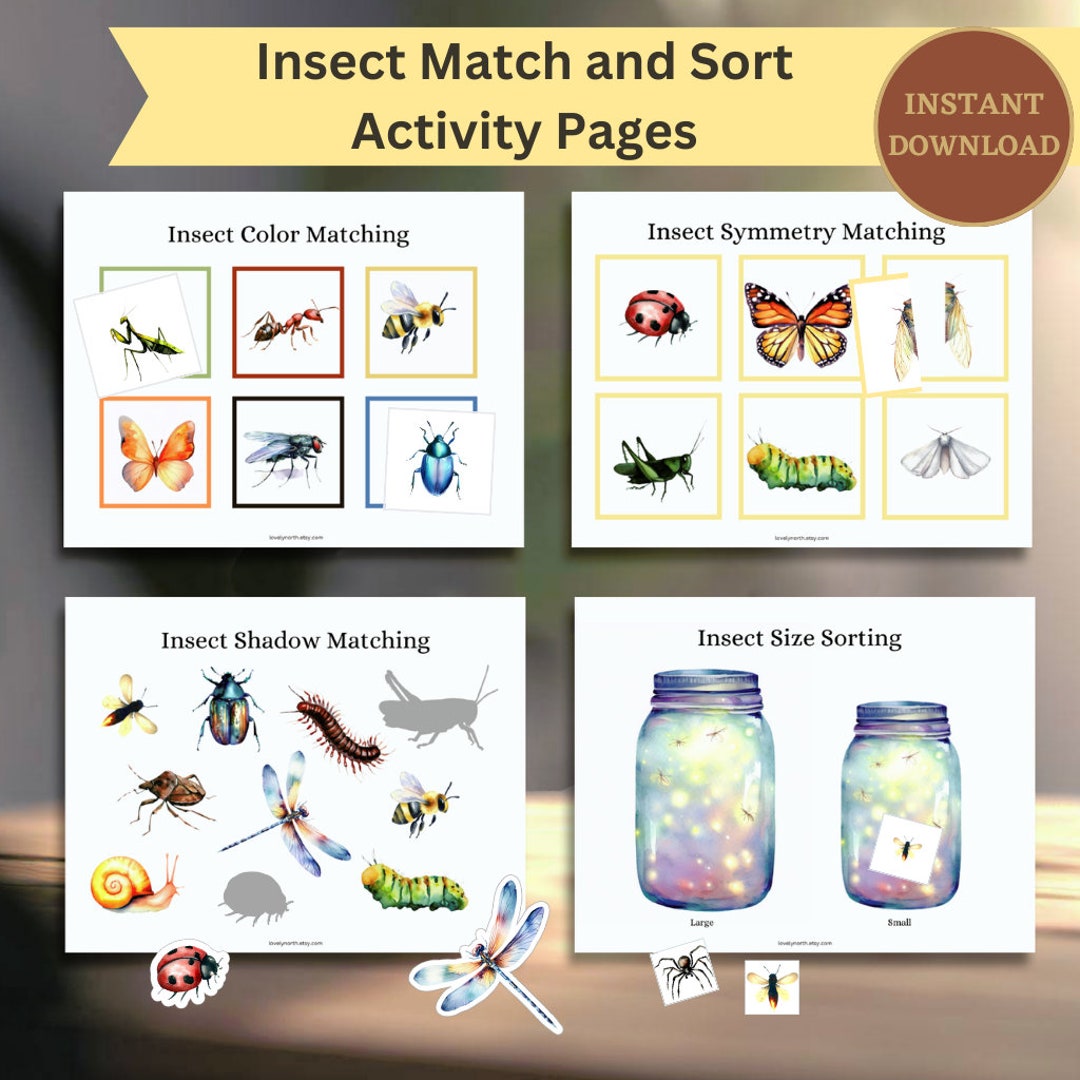 Insect match and sort activity pages insect nature theme montessori style watercolor instant download