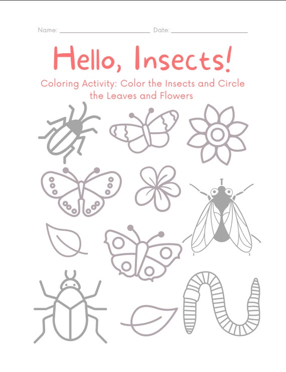 Insect coloring worksheet nature worksheet insect home school summer school activity