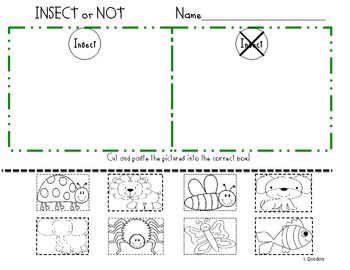 Insect sort science experiments for preschoolers bugs preschool primary students