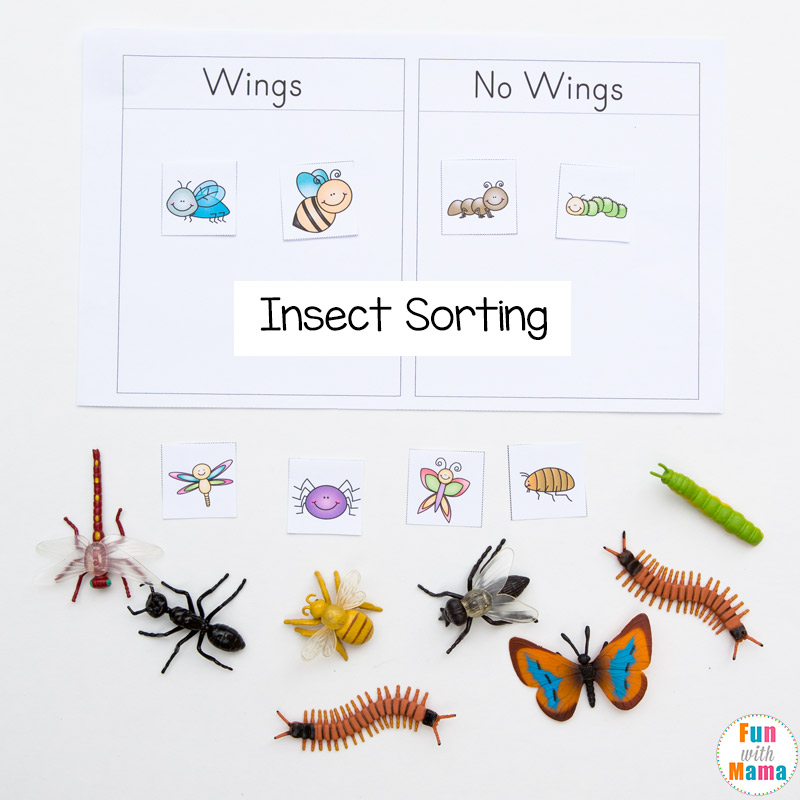 Preschool insect theme sorting worksheet bug activities