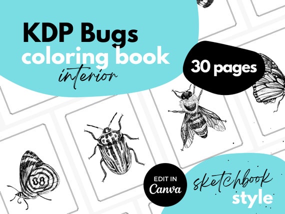 Kdp interior coloring pages bugs and insects canva template x