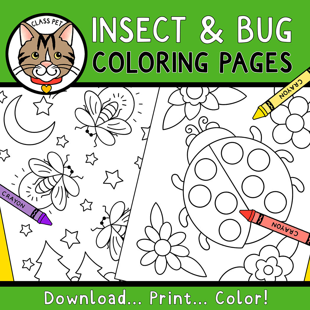 Insect and bug coloring pages made by teachers