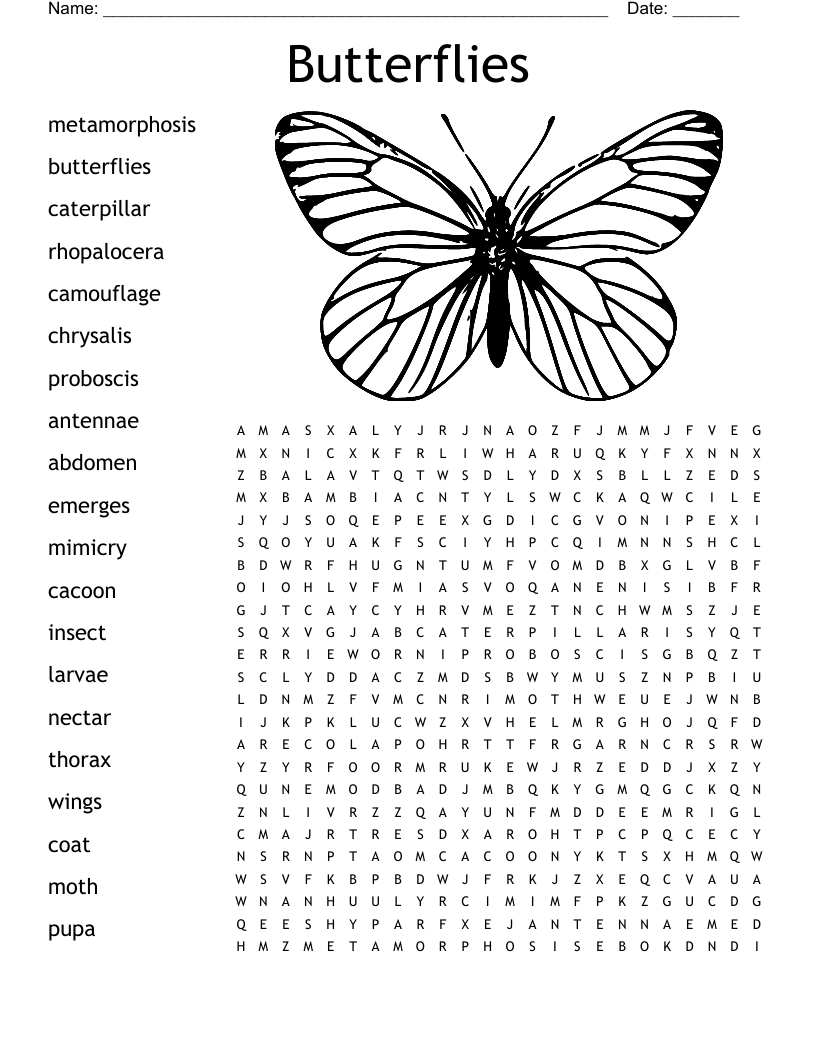 Butterflies word search