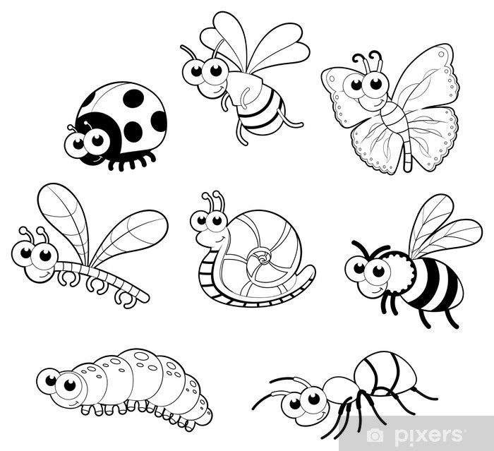 Insectos para colorear