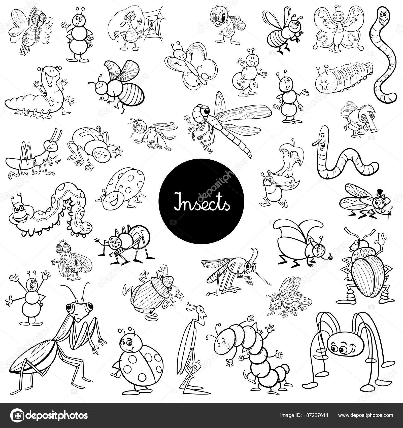 Dibujos animados insectos animales conjunto libro para colorear vector de stock por izakowski
