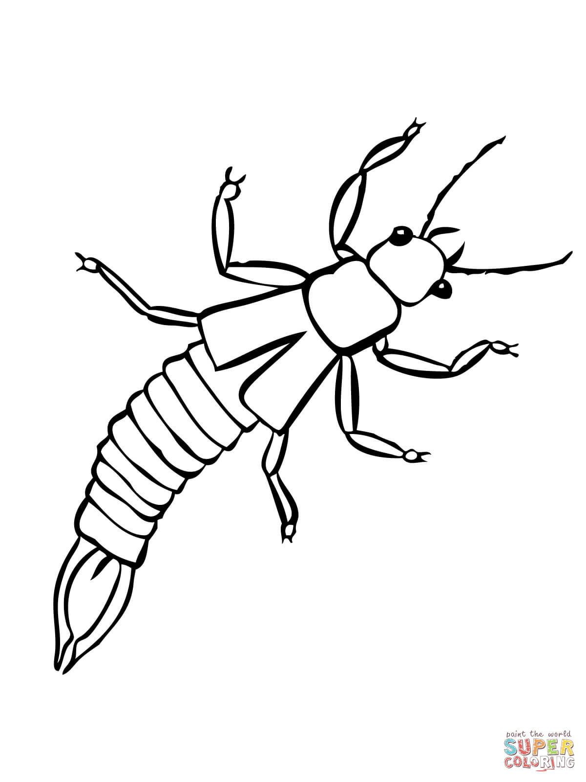 Dibujo de tijereta insecto para colorear dibujos para colorear imprimir gratis