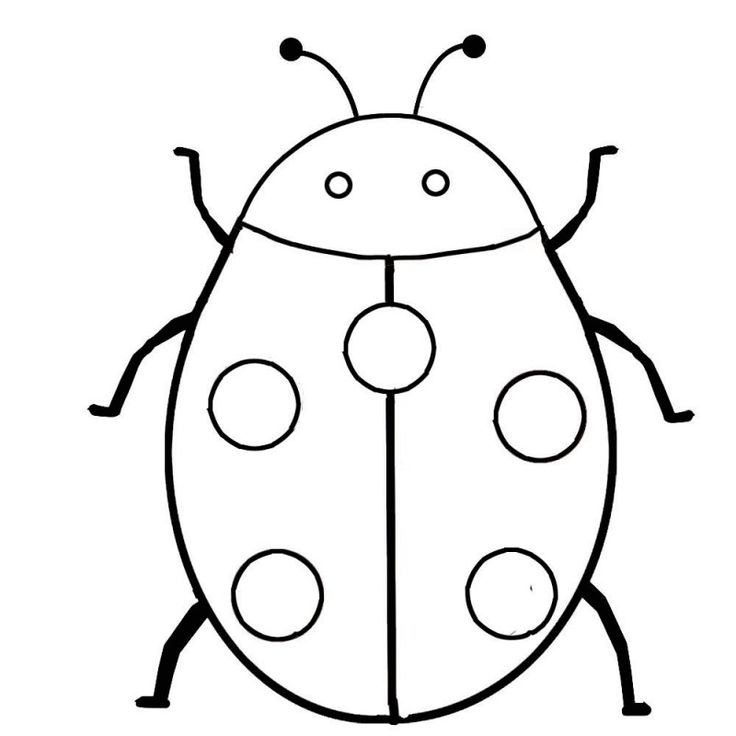 Dibujos de insectos para colorear y pintar insect coloring pages ladybug coloring page bug coloring pages