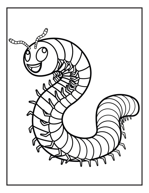 Libro para colorear fãcil para niãos insectos pãginas