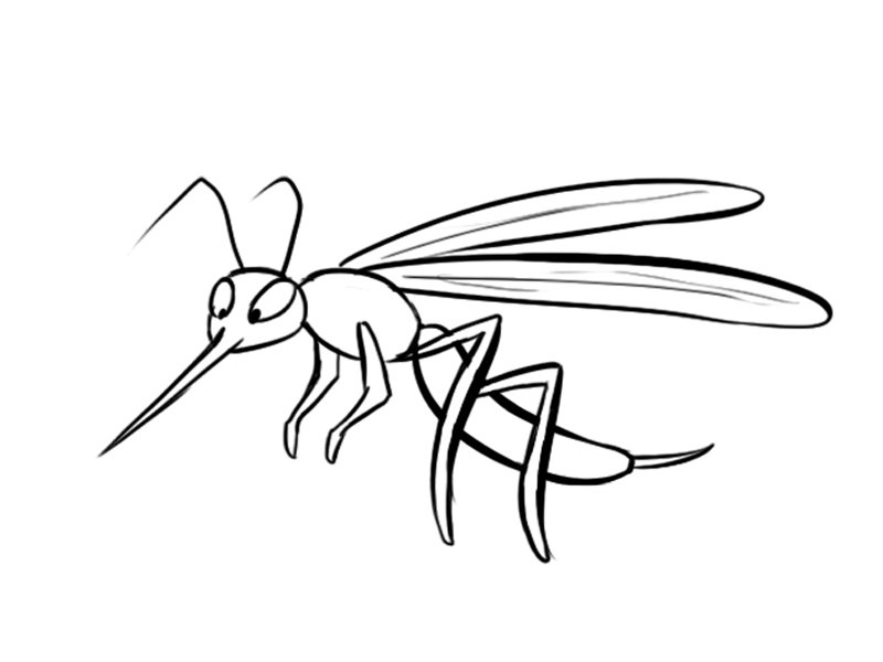 Dibujo de un mosquito imãgenes de insectos para colorear