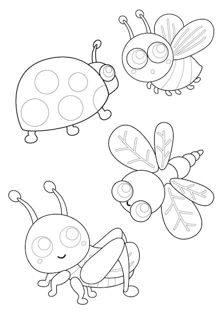 Pin en insectos
