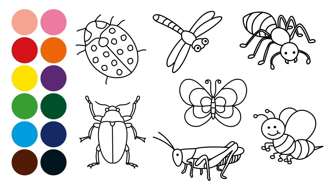 Animales insectos dibujar y colorear para niãos