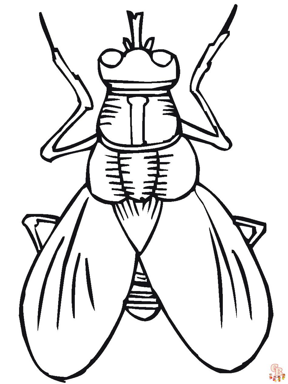 Pãginas para colorear de insectos
