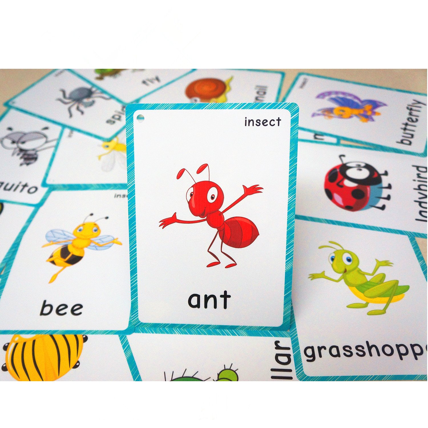 Santsun insects and bugs flashcards for kindergarten classroom decoration background wall stickers teach flash card daycare decorations learning cards toys games