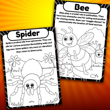 Bugs fun facts coloring pages flashcards coloring insects for kids by mounart