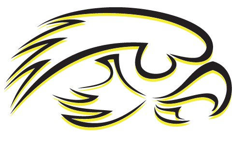 Iowa hawkeyes logo varient by cfin on