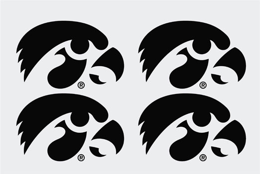 University of iowa decals tigerhawk set