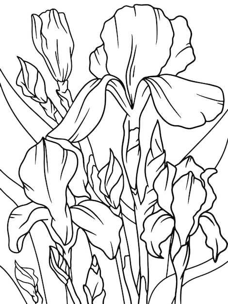 Premium vector iris flower plant flower outline page outline of cartoon