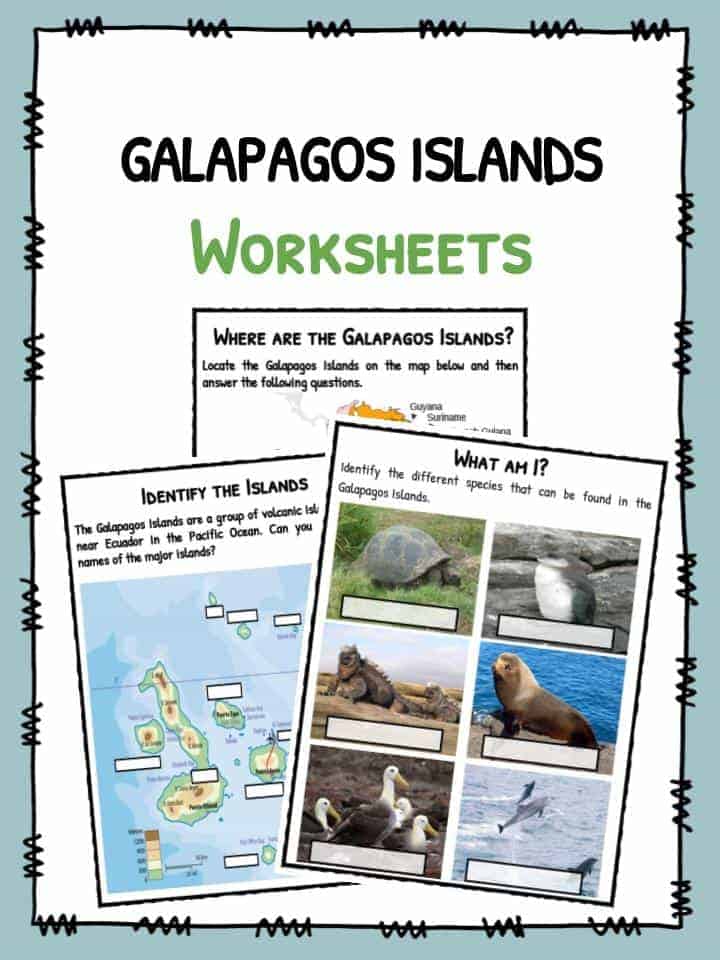 Galapagos islands facts worksheets wildlife for kids