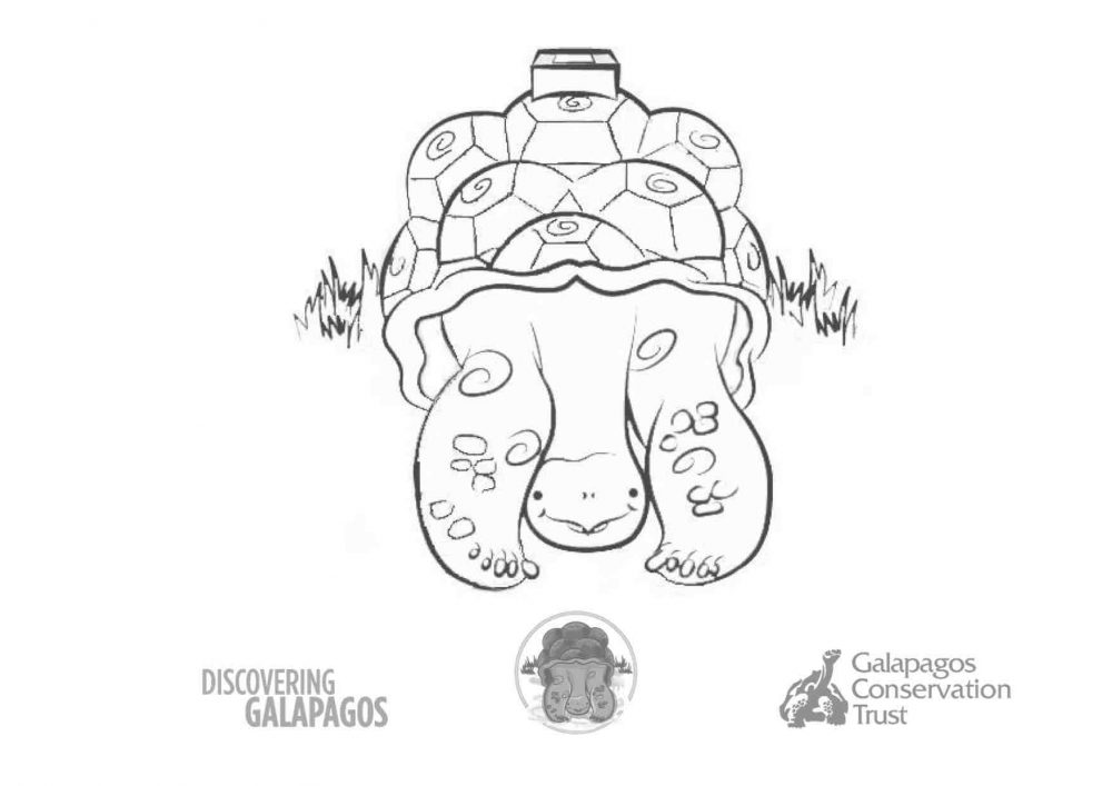 Discovering galapagos homeschooling resources
