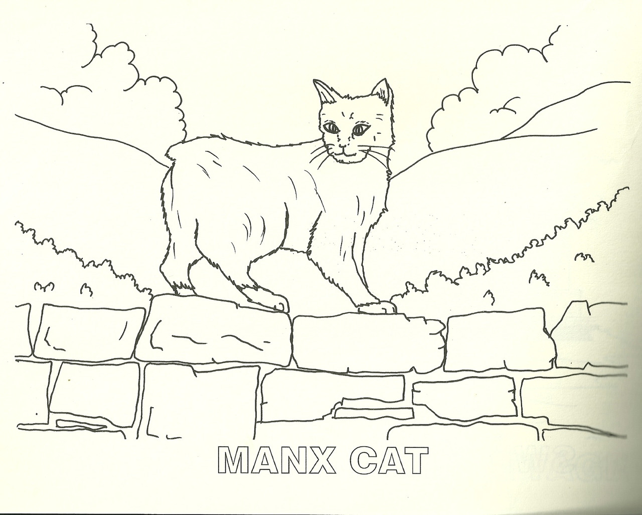 Isle of man colouring book