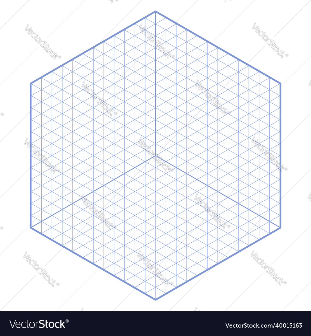 Hexagonal isometric grid with editable strokes vector image