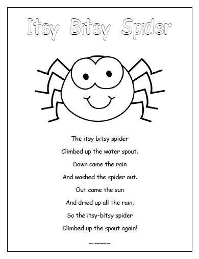 Itsy bitsy spider