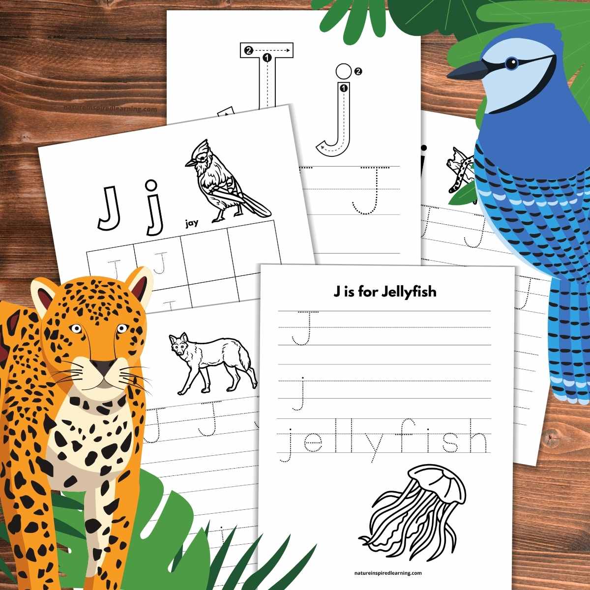 Letter j tracing worksheets free