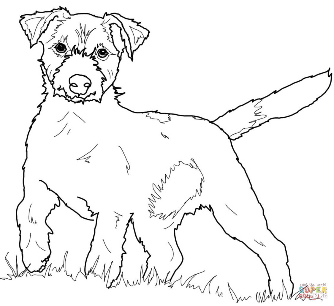 Jack russell terrier coloring page free printable coloring pages