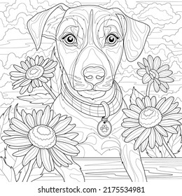 Dog daisies jack russell terriercoloring book àààààààààªàààà àààààààààààªààààà