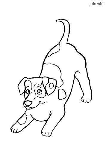 Dogs coloring pages free printable dog coloring sheets