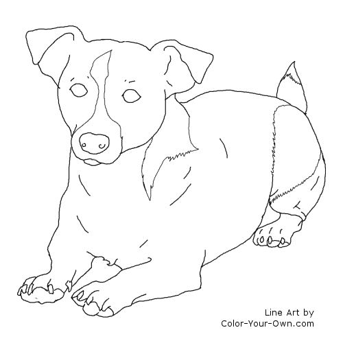 Jack russel terrier dog laying down coloring page