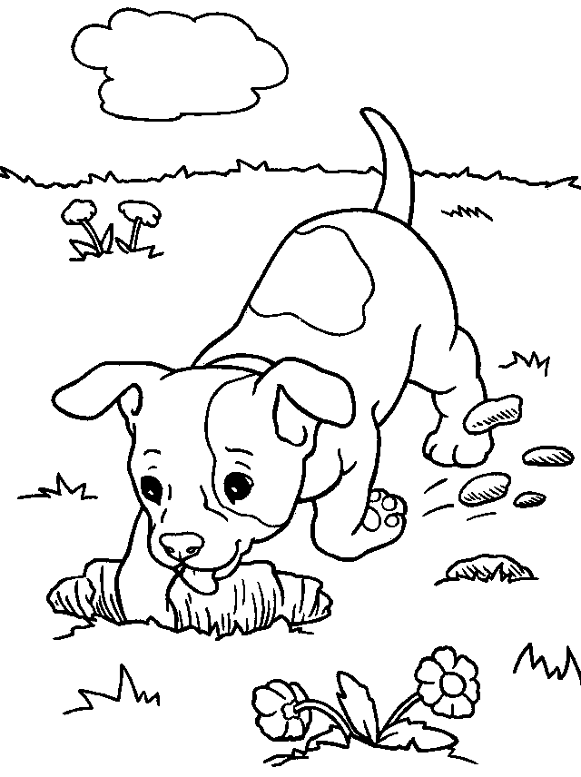 Jack russell coloring pages