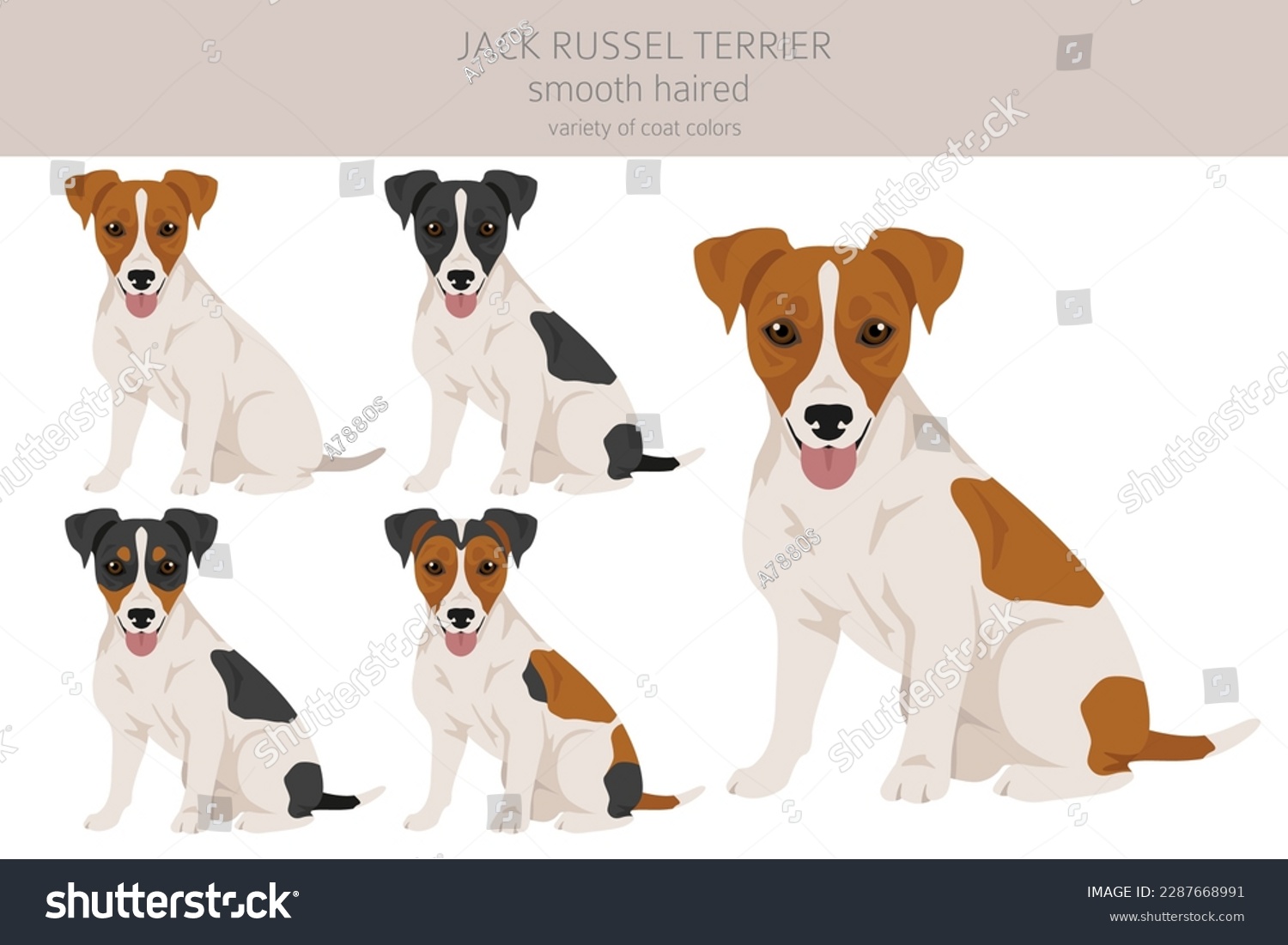 Jack russell terrier peste de ilustraèii èi desene care se pot licenèia ãn regim royalty free