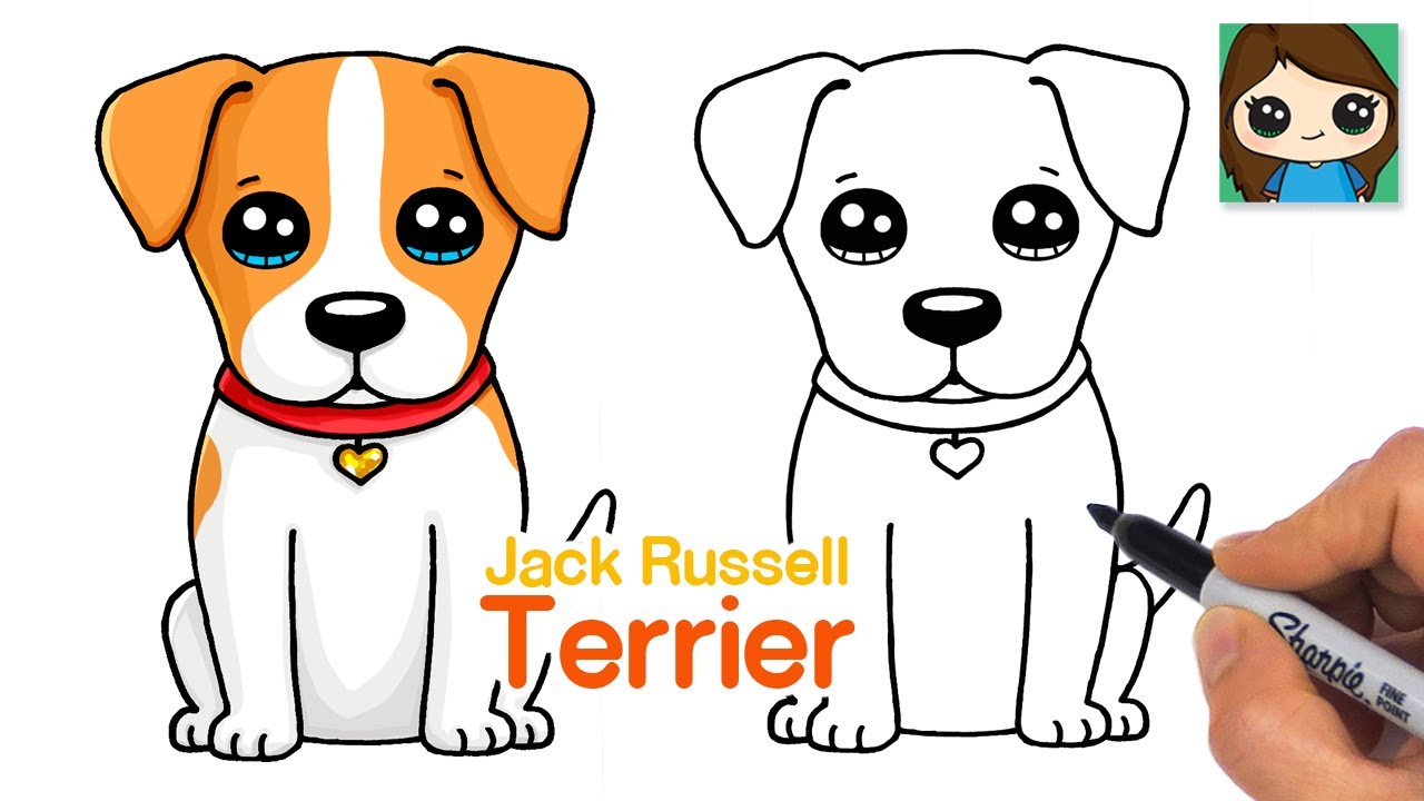How to draw a jack russell terrier puppy dog easy