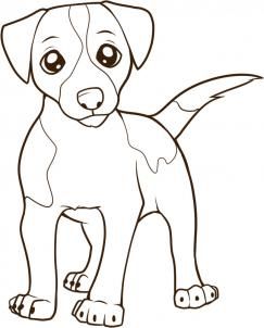How to draw a jack russell terrier step by step pets animals free online drawing tutorial added by dawn june â drawings cartoon drawings animal drawings