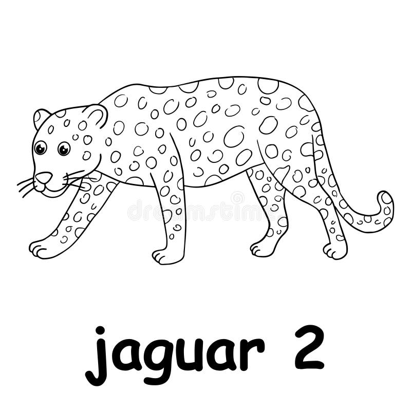 Jaguar colouring stock illustrations â jaguar colouring stock illustrations vectors clipart