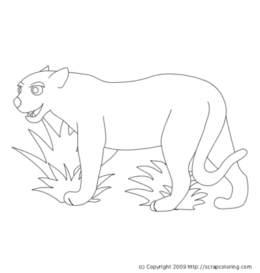 Jaguar cheetah cougar or panther coloring page