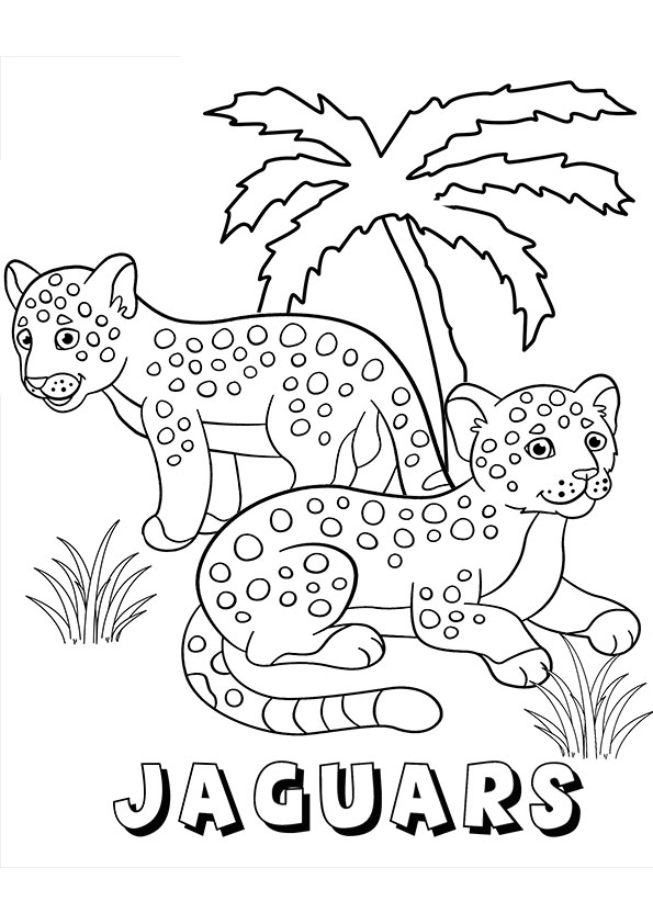 Coloring pages printable cute jaguar coloring pages