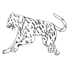 Best free printable jaguar coloring pages online
