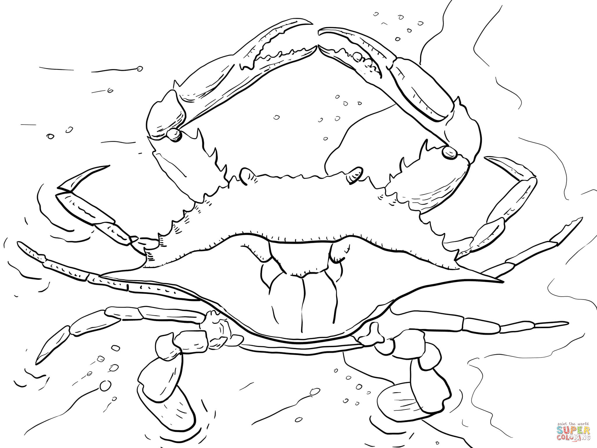 Atlantic ocean blue crab coloring page free printable coloring pages