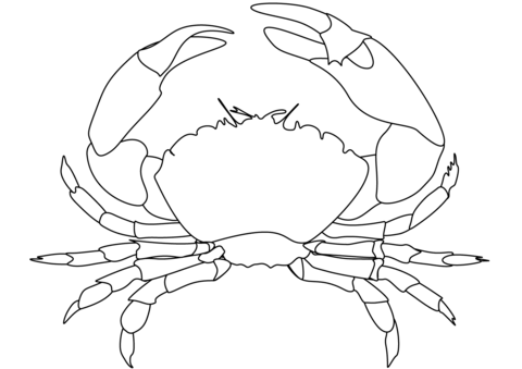 Dibujo de cangrejo para colorear dibujos para colorear imprimir gratis
