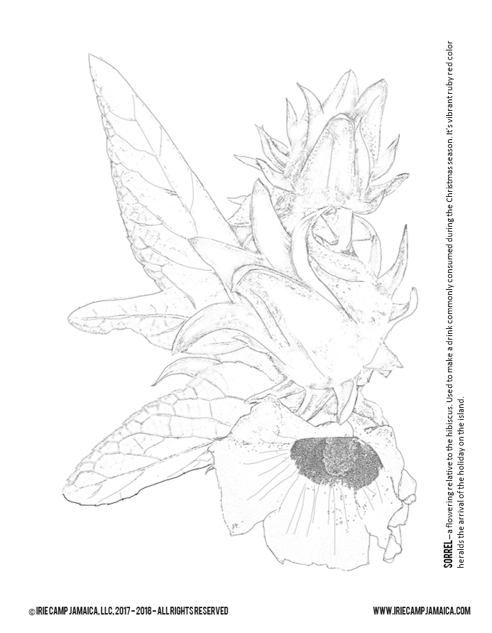 Free coloring sheets