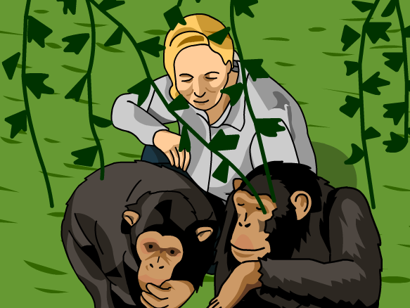 Jane goodall