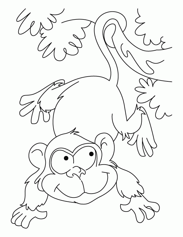 Jane goodall coloring pages