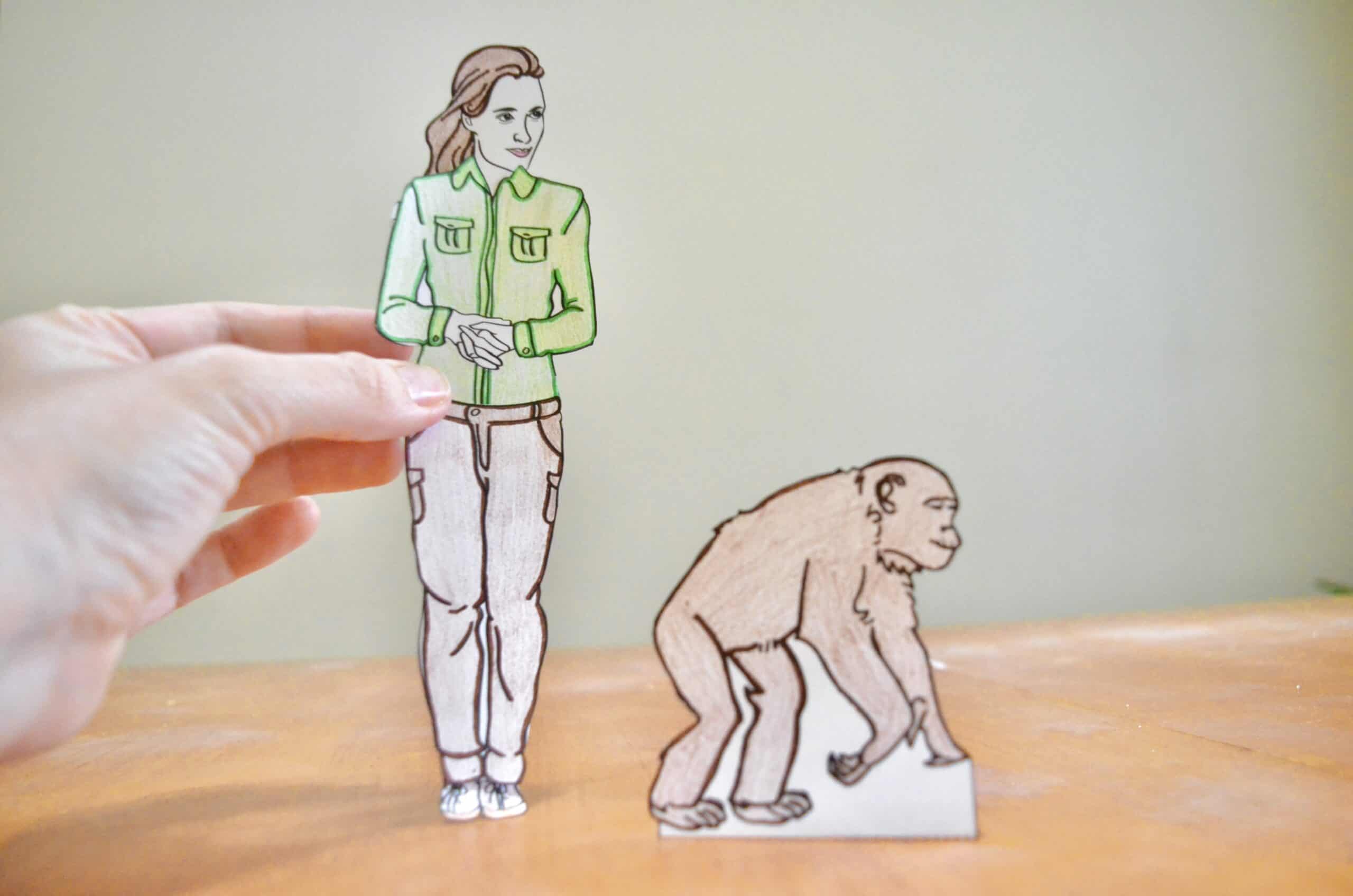 All about jane goodall worksheets activities rainforest crafts for kids