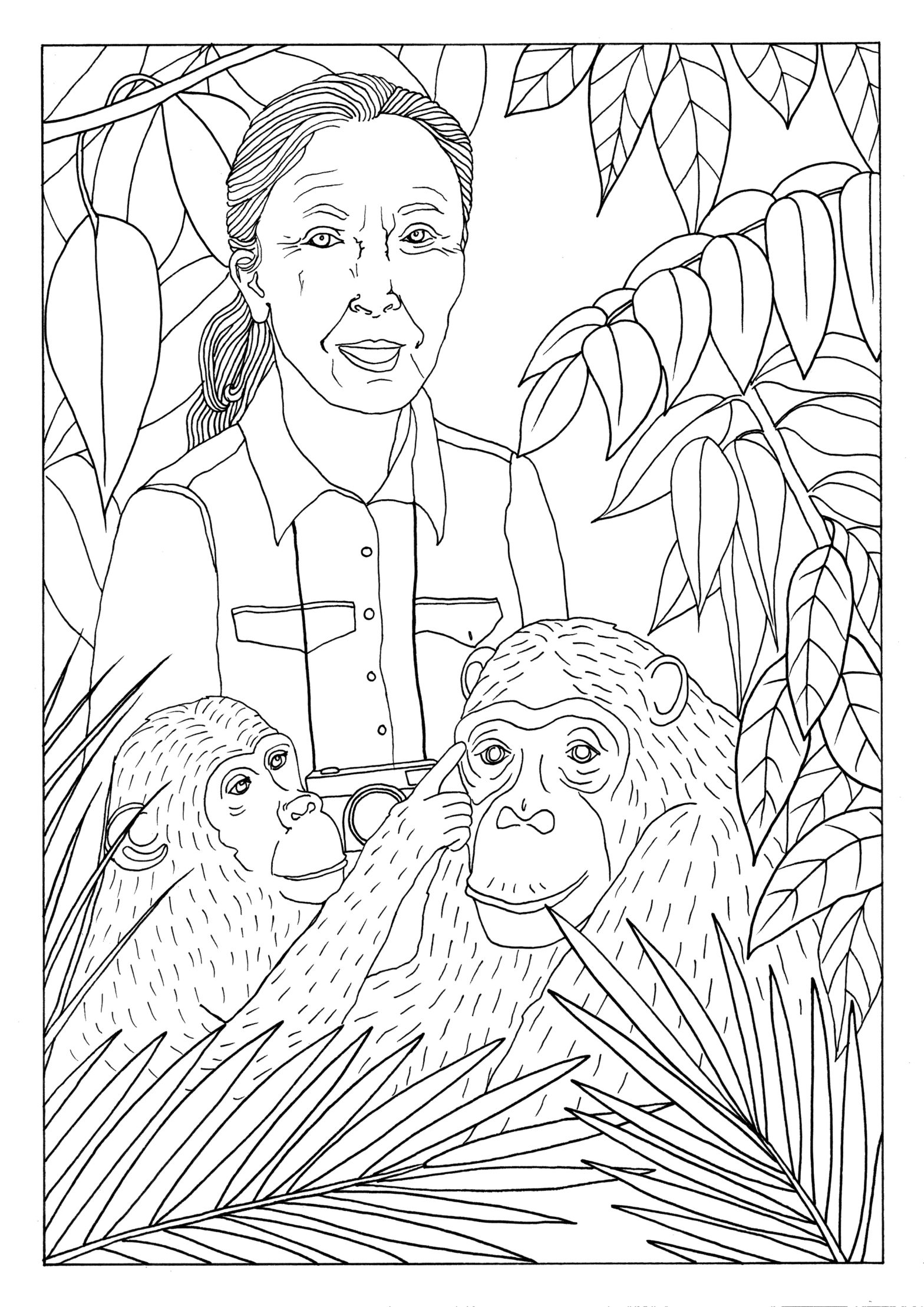 Jane goodall